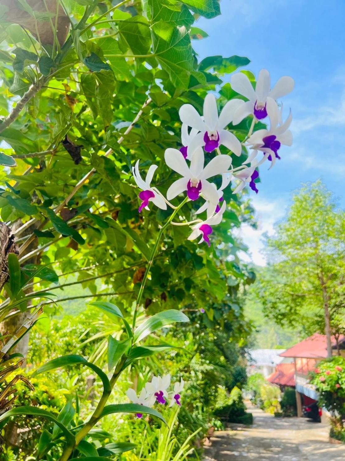 Suriyan Villa Erawan Kanchanaburi สุริยัน วิลล่า เอราวัณ กาญจนบุรี Tha Kradan Exterior foto